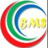 BlackMoonSoft BMS --- Streaming Tool --- V1.0.JPG