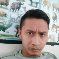 abangbetulin