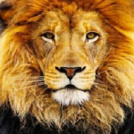 myPride