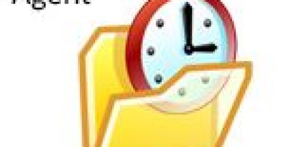 VCL Scheduling Agent V2.0.22