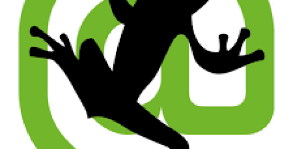 Screaming Frog SEO Spider 22.2 With Crack Download
