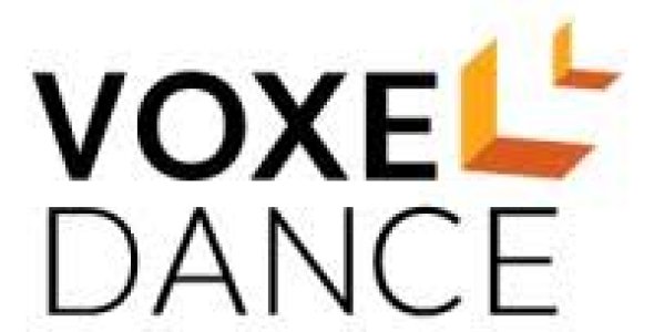 Voxeldance Additive v5.1.2.25 WiN x64 With Crack Download