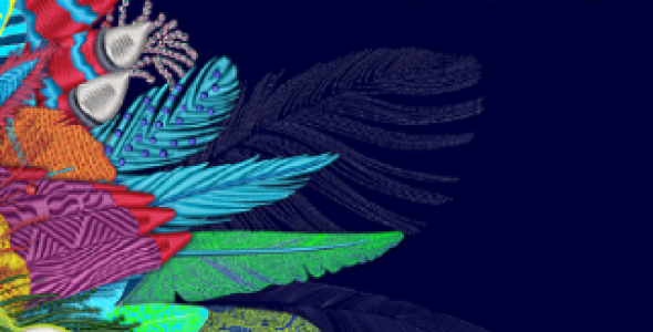 Advanced Wilcom Embroidery Studio e4.5.8 (Windows 11 24H2) Download